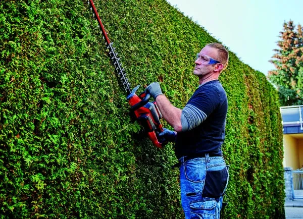 Einhell | Cordless Hedge Trimmer GE-CH 36/65 Li-Solo