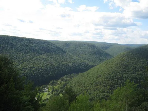 Pine Creek Lizard Map - Grand Canyon of Pennsylvania