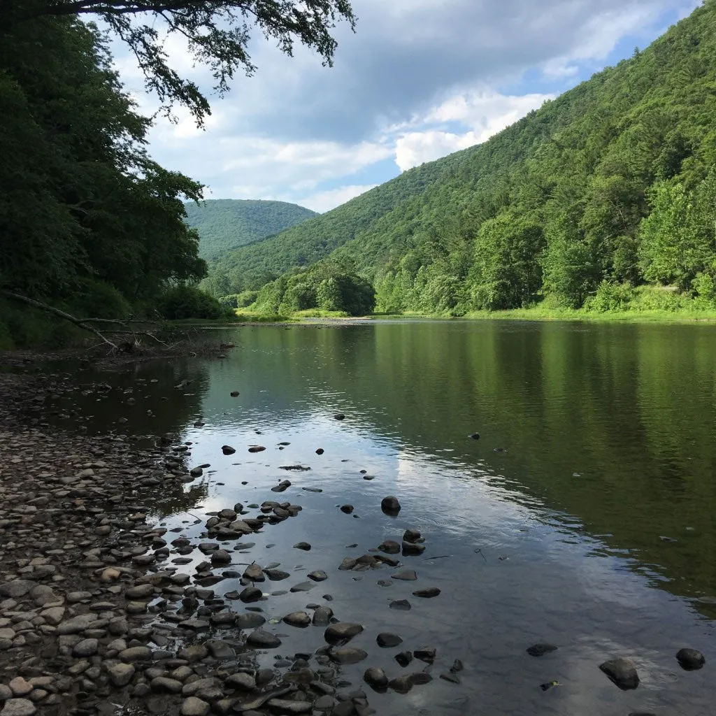 Pine Creek Lizard Map - Grand Canyon of Pennsylvania