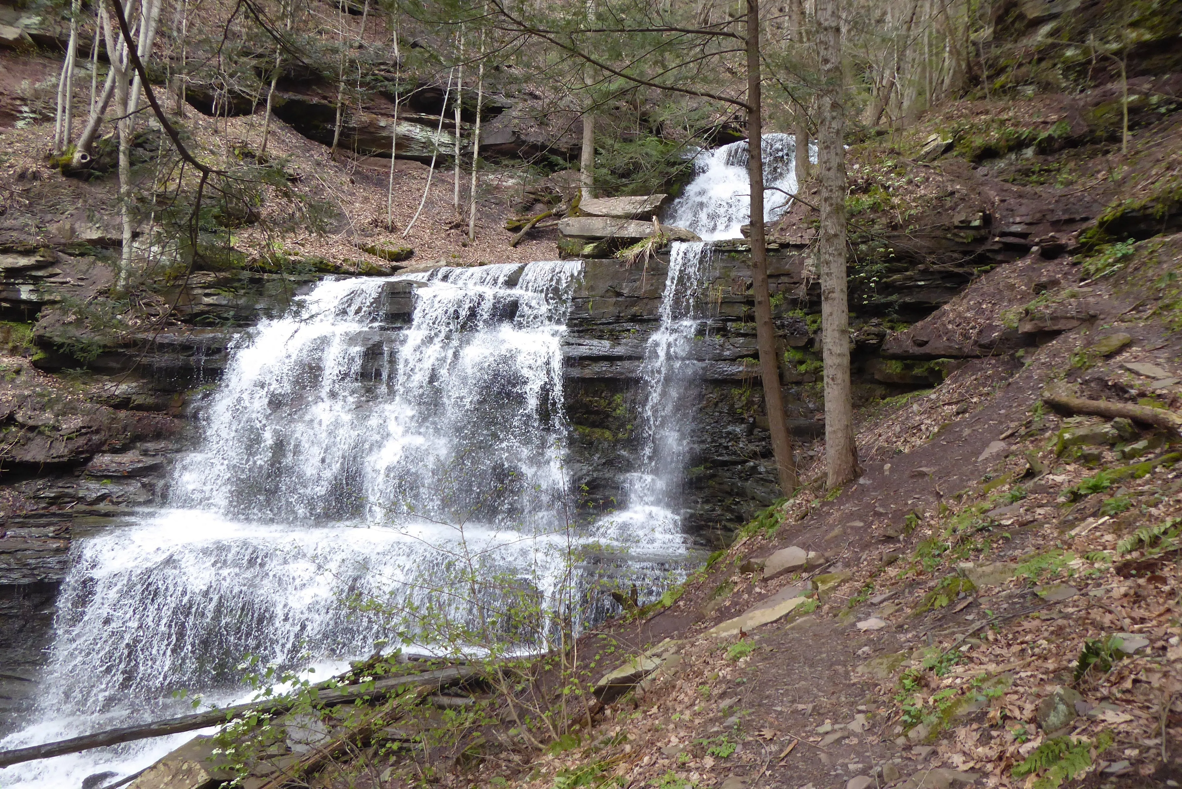 Pine Creek Lizard Map - Grand Canyon of Pennsylvania