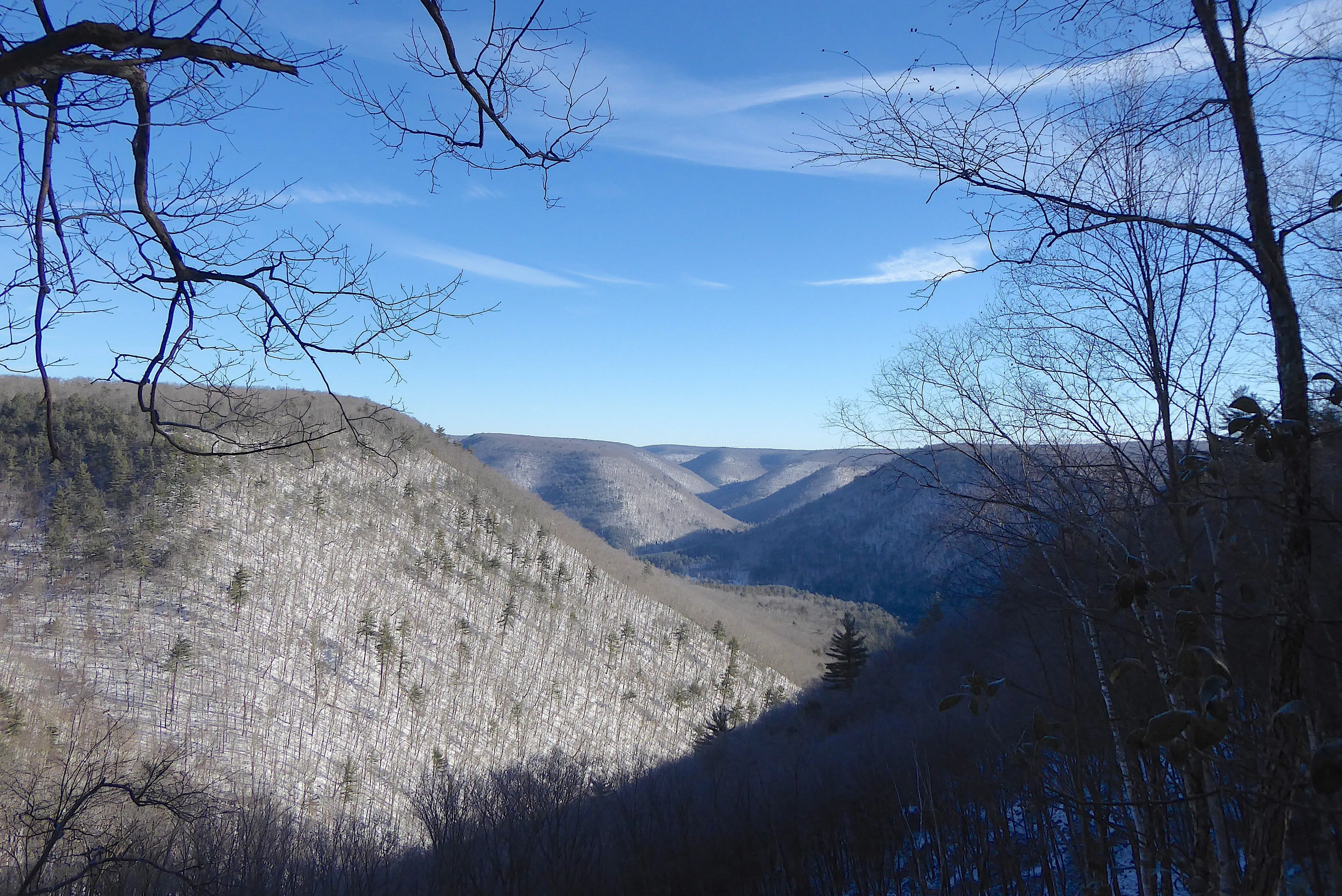 Pine Creek Lizard Map - Grand Canyon of Pennsylvania