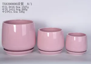 Set of 3 Pink Ceramic Bowl-Shaped Pots with Bottom Tray