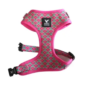 Soapy Moose Watermelon Adjustable Cat Harness Medium***