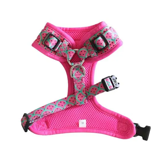 Soapy Moose Watermelon Adjustable Cat Harness Medium***